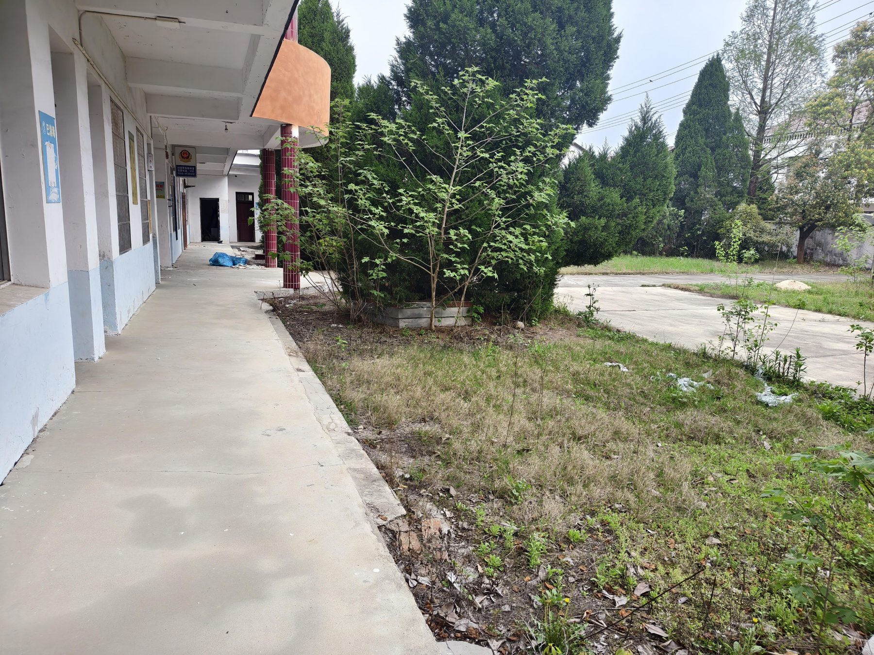 东升村小学图3