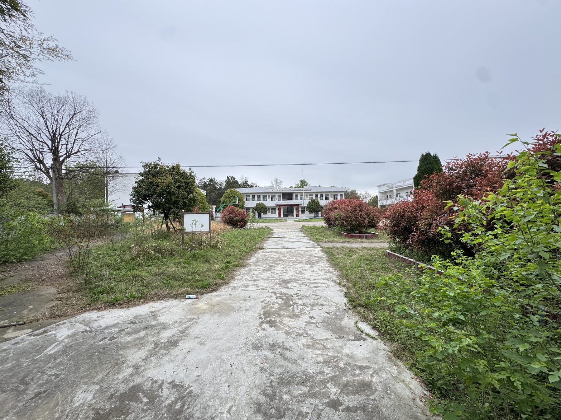 毕岭小学图3