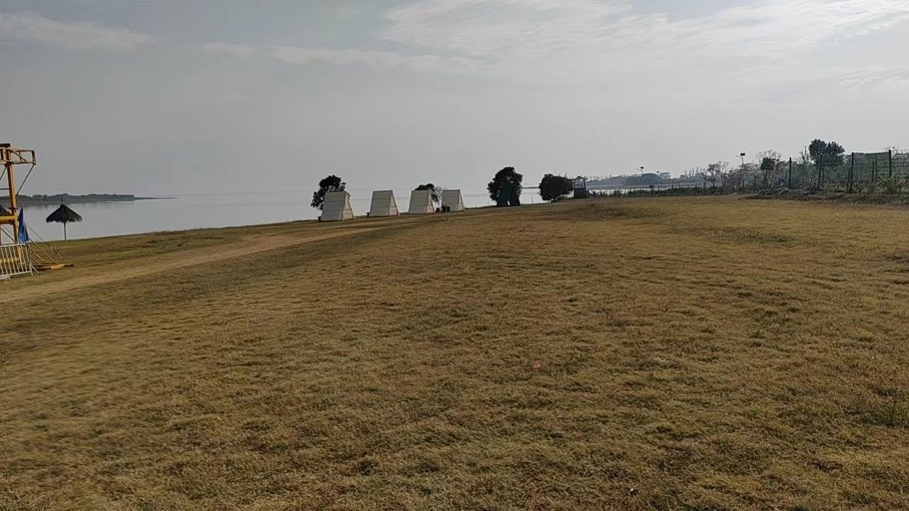 阿青牧场图2