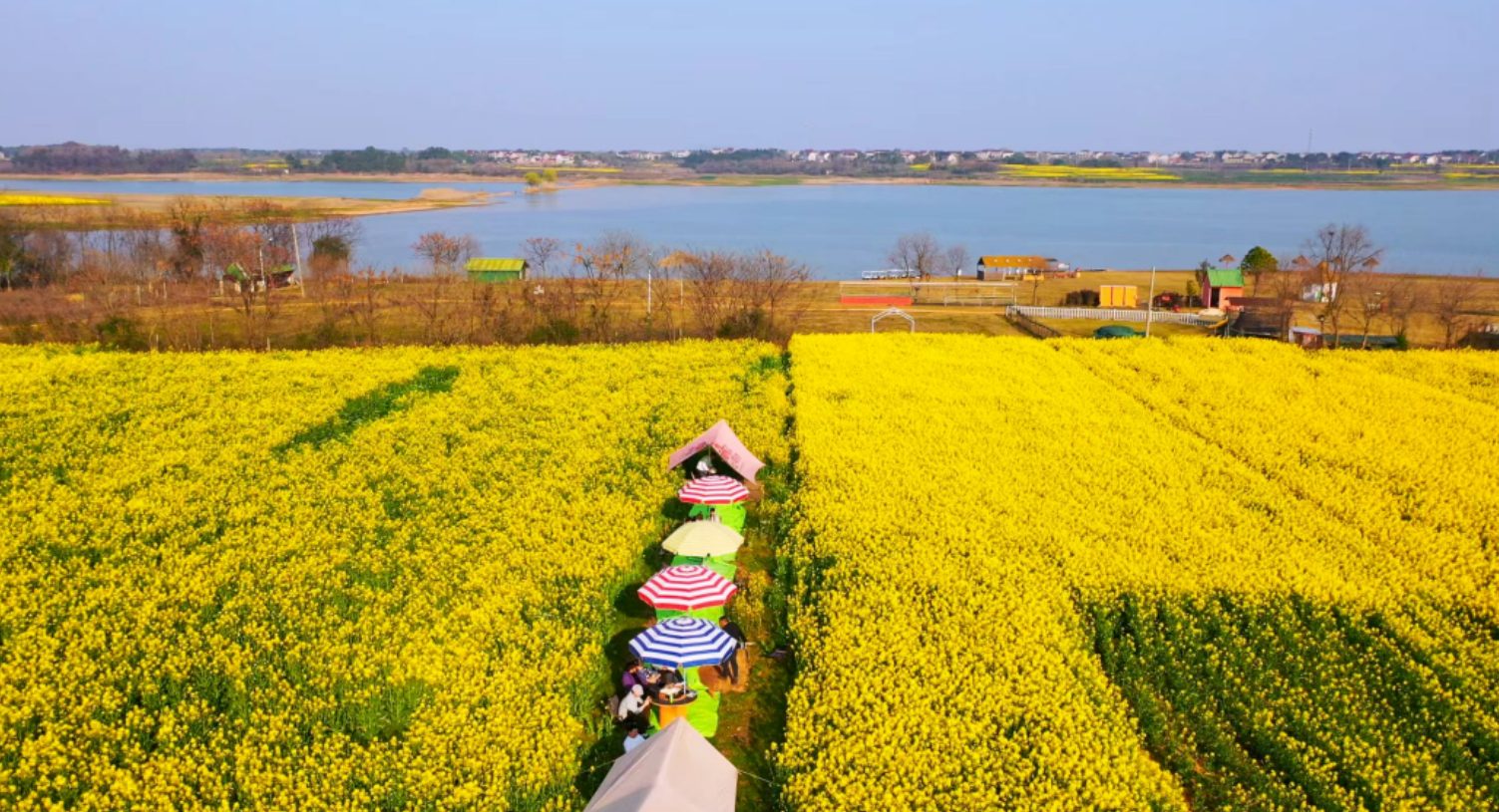 阿青牧场图3