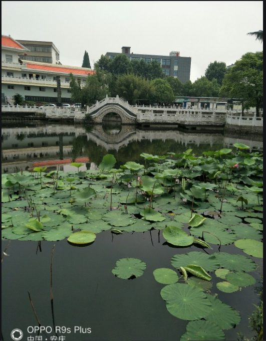 红楼图4