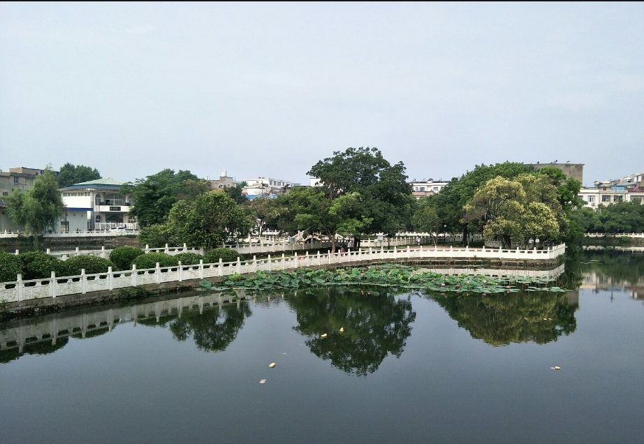 红楼图5