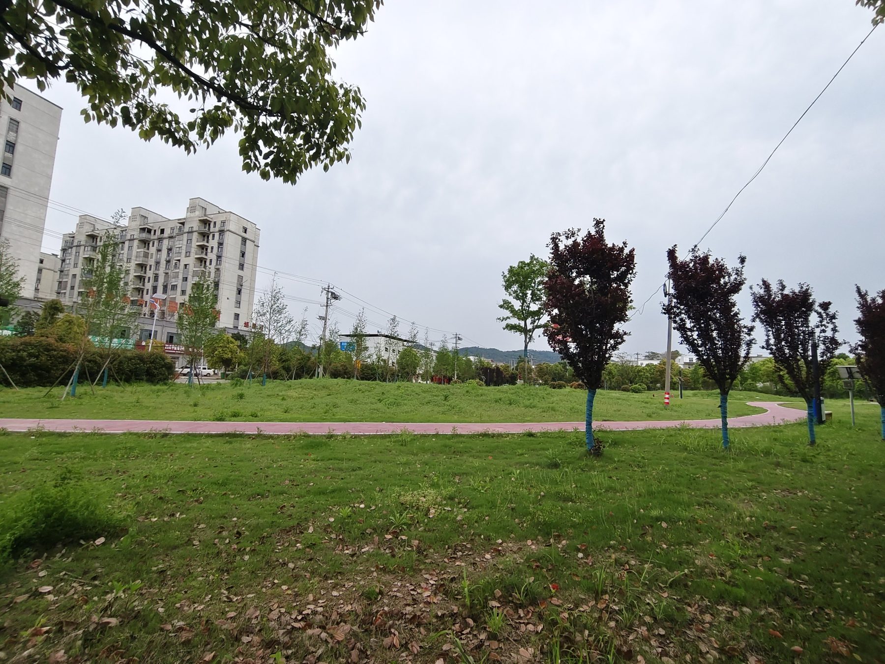 振兴社区口袋公园图6
